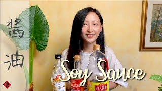 What Soy Sauce to Buy for Cooking Chinese Food | Types, Brands, Usage & Substitutes | 酱油