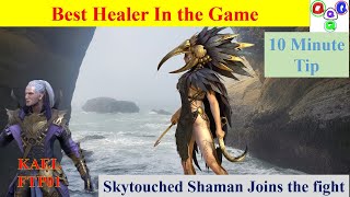 Skytouched Shaman | Best healer in the game | Doom Tower Champion |  FTPKael01021