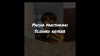 pacha parishkari slowed reverb