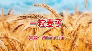 一粒麦子 A kernel of wheat (翻唱)  0059 (简体,繁體,粵語,英文字幕)