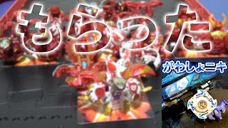 【爆丸】総額〇〇万円！？がわしょさんに頂いてしまった爆丸がヤバすぎた…！！【Bakugan】