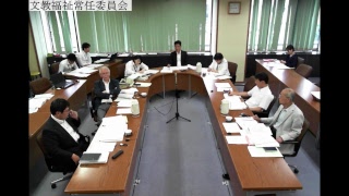 第12回文教福祉常任委員会（H29.6.23）②