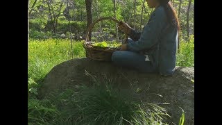 一个孤独的女人独自隐居山林，平日采野菜做包子，悠闲平淡