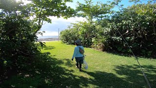 シガヤーダコ 釣りへ!? いやいや「デイキャンプ」に行ったんですよ〜 [沖縄県総合運動公園] オートキャンプ場