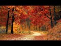 RELAXING || 2 HOURS || Golden Tranquility: A Serene Autumn Journey || Blissful Tones