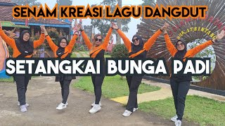 SENAM KREASI LAGU DANGDUT || SETANGKAI BUNGA PADI || setia aerobic