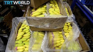 Angola turns to bananas to diversify economy | Money Talks