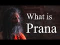 What is Prana ?   by Swami Vijnananda