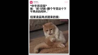 当我睡午觉时不定闹钟 #funny #memes