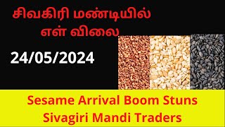 சிவகிரி மண்டியில் எள் விலை | 24/05/2024 Sesame Rate At Sivagiri | 750 Bags Sesame Sold Today | AQSE