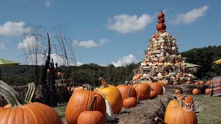 A Visit To Ritter's Winery and Cidery To Cook Up Some Hardy Chili And Visit Their Magical Pumpkin Ga