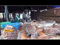 Fish farming in East Africa - Fish farmers demand the fish feed industry in the region.