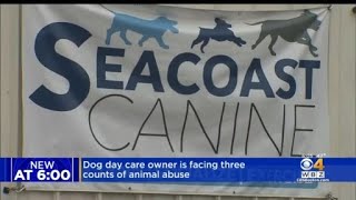 Dog Day Care Owner Facing Three Counts Of Animal Abuse