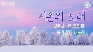 엘로히스트 읽을 때 듣기 좋은 새노래 #12│2024