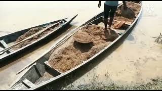 নগাঁৱৰ কামপুৰ-কচুৱাত বানপানীৰ তলত কেইবা হেক্টৰ মাটিৰ বড়োধান//S M Dewan-Mix.