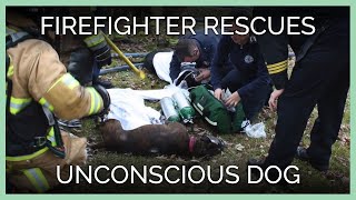 Firefighter Rescues Unconscious Dog—See His Fire Cam Footage!