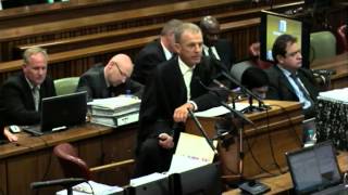 Lawyers attack Oscar Pistorius as he insists he did not mean to kill Reeva Steenkamp