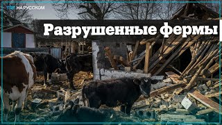 Украинские фермеры возвращаются в разрушенные села