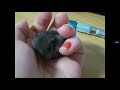 Baby mouse yawn  (I dont own the video) graphitelove