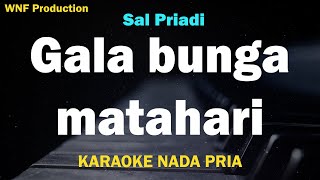 Sal Priadi - Gala bunga matahari (Karaoke Nada Pria)