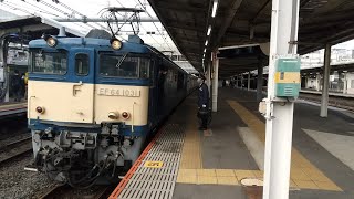 E235系1000番台J-19編成新津配給EF64-1031号機牽引大宮駅発車