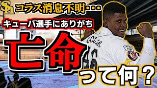 【消えたコラス】キューバ選手はなぜ「亡命」してしまうのか！？