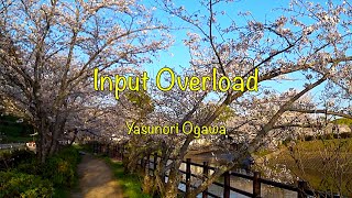 [090L]  オリジナル曲　ギター インスト「Input overload」original guitar instrumental music / DTM