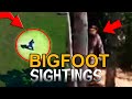 5 Bigfoot is Real! Caught on Camera - Sasquatch Yeti Sightings