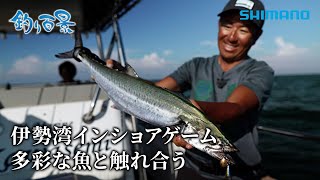 【釣り百景】#561 伊勢湾インショアゲーム 多彩な魚と触れ合う