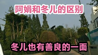 冬儿和阿娟属于萝卜青菜，各有所爱，其实冬儿也有善良的一面