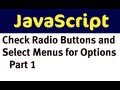 Use JavaScript to Check Radio Buttons and Select Menu - Options for a Product (Part 1)
