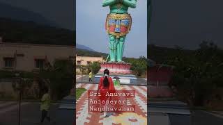 Sri Anuvavi Anjaneyar Nandhavanam #shorts #anjaneya