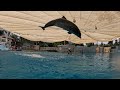 Dolphin Therapy Land ( Cenk )