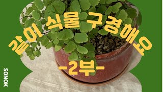 저랑 같이 식물 구경해요! 2부 (+흙보관 방법,홈가드닝,home gardening,Planterior,집순이취미생활)