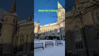 #norway #winterwonderland #winter #kristiansand #norge #travel #travelvlog #trending #viralshort