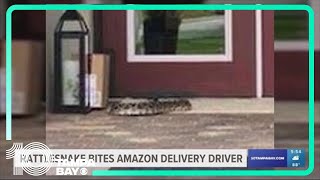 Amazon driver in serious condition after being bitten by rattlesnake in Florida