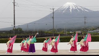 【4K】桜湖頭（第21回あっぱれ富士/富士山ステージ1回目）