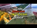 4 Cara membersihkan Lumut dan Kerak pada kaca aquarium maupun kolam kaca