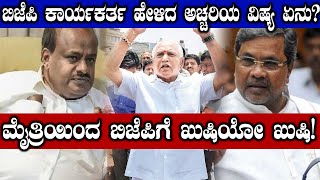 Lok Sabha Elections 2019 : ಕಾಂಗ್ರೆಸ್-ಜೆಡಿಎಸ್ ಮೈತ್ರಿಯಿಂದ ಬಿಜೆಪಿಗೆ ಲಾಭವೋ ಲಾಭ  | Oneindia Kannada