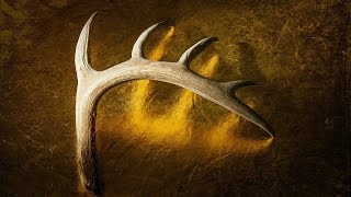 WHITETAIL SHED HUNTING 2023 - Seeking BIG Antlers!