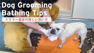 お風呂嫌いな犬のシャンプーのやり方