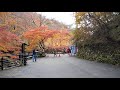 伊香保温泉河鹿橋の紅葉【沖縄koza】