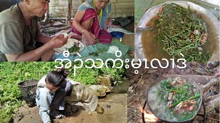 Karen village life ဃုအီၣဲတၢ်လၢထံဖိကျိပူၤ