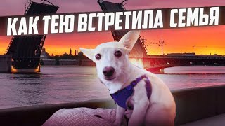 Как Тею встретили  родители😍Даже сами сделали ролик❤