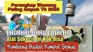 Perangkap Wawung Paling Ampuh Tahun 2023