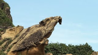 基隆和平島 解禁後的 阿拉寶灣紀實