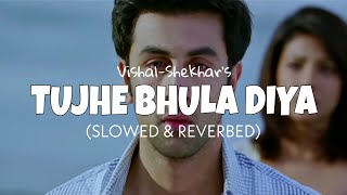 Tujhe Bhula Diya (Slowed & Reverb) - Mohit Chauhan | tujhe bhula diya lofi edit 2022 | Lofi Loop