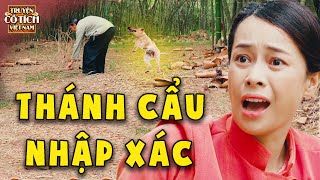 CỔ TÍCH HAY NHẤT - THÁNH CẨU NHẬP XÁC 🍀 CỔ TÍCH VIỆT NAM 2024🍀TRUYỆN CỔ TÍCH🍀SỰ TÍCH HAY🍀CỔ TÍCH MỚI