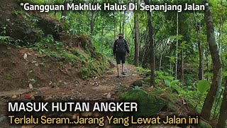 NEKAD❗MASUK HUTAN ANGKER SENDIRIAN KE KAMPUNG TERPENCIL DI DALAM HUTAN