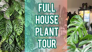 APARTMENT TOUR - Full House Plant collection - Urban Jungle Vibes